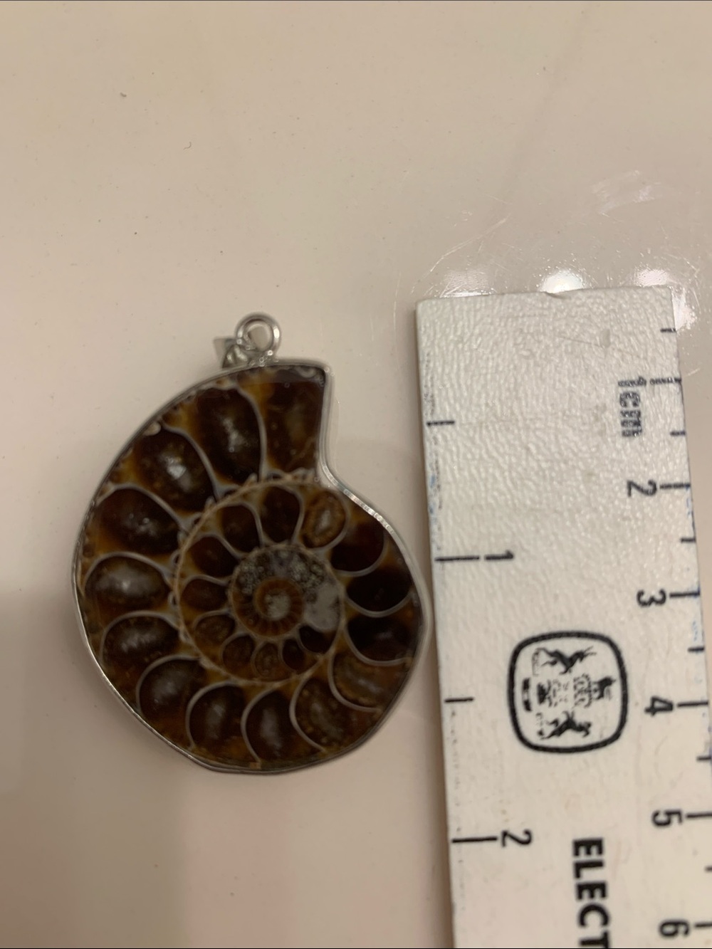 Ammonite Fossil Pendant in Brown and Cream